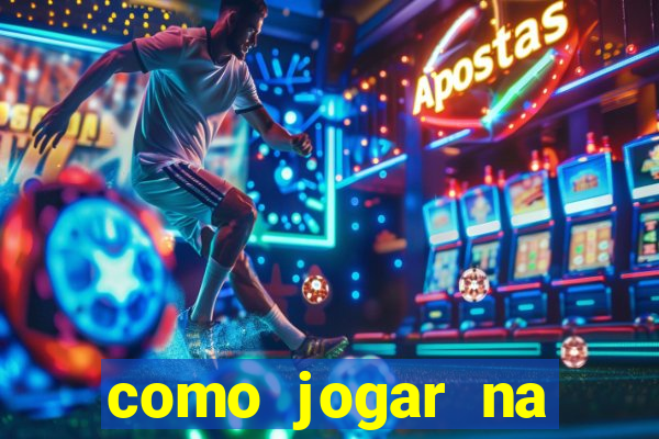 como jogar na seninha online